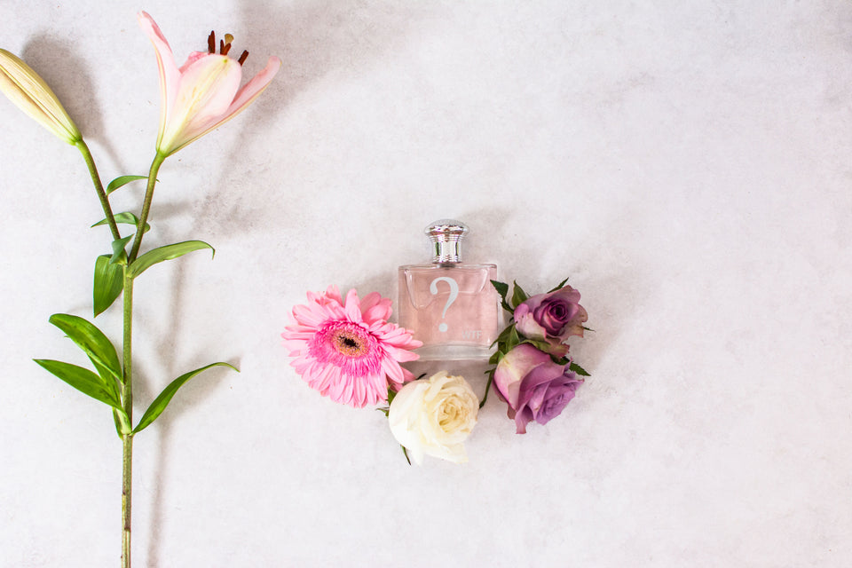 Perfumes, Candles, Home Fragrances & Gifting– What's That Fragrance