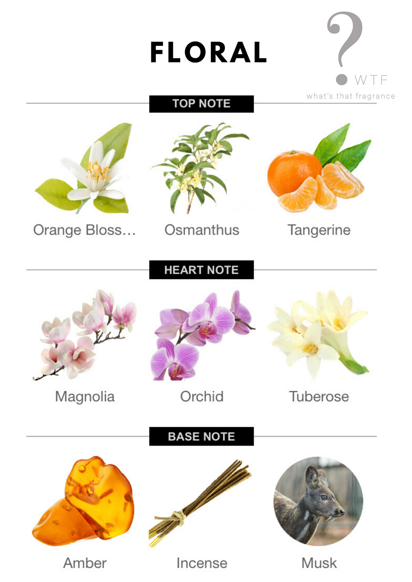 Diffusers, Room Sprays & Refills– What's That Fragrance